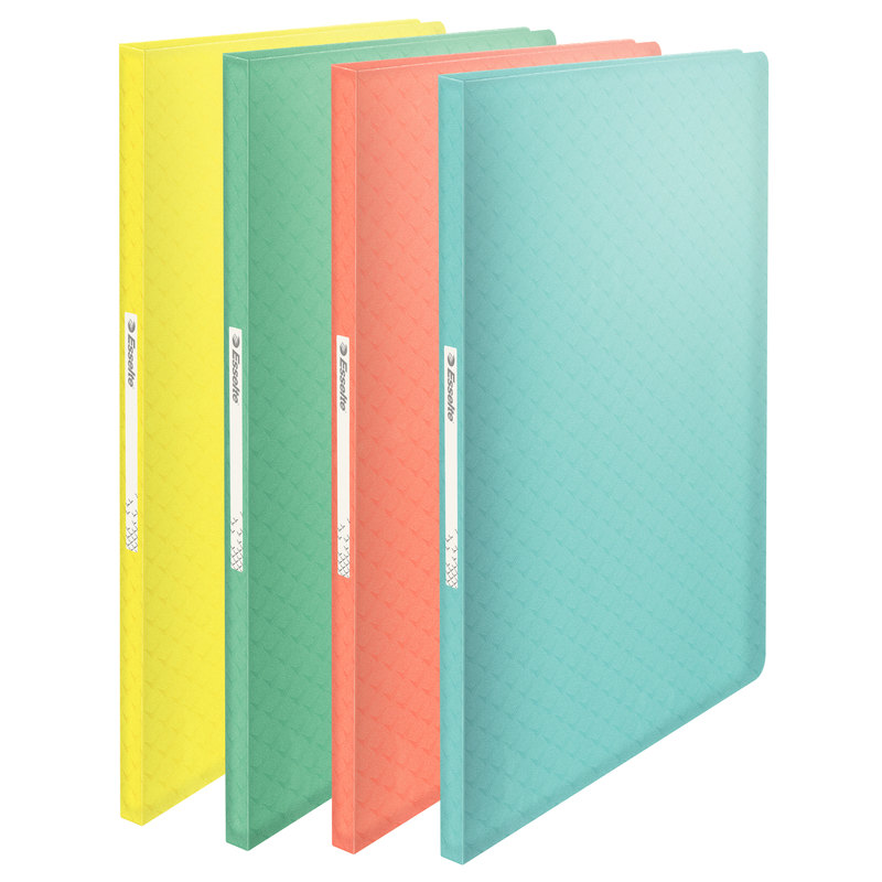 Carpeta con 40 Fundas Esselte Polipropileno A4 Azul